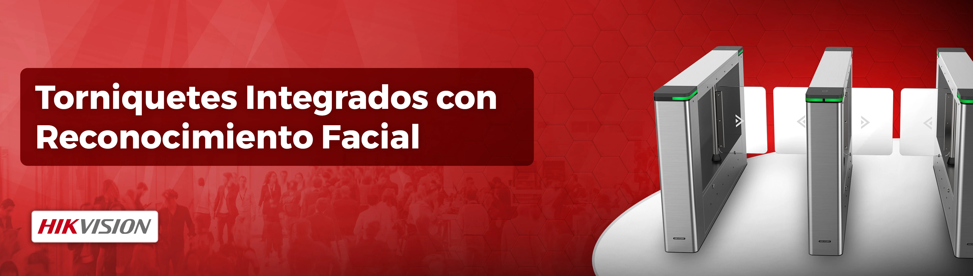 Archivo IF-015